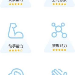 Qiyi Qiming S2 Pyraminx 3x3 -Bolseeplgoed Verkoopwinkel 518x840 1