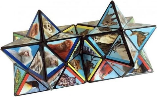 Elliot Breinbreker Starcube Wildlife 5,8 Cm 2-delig 5 Elliot Breinbreker Starcube Wildlife 5,8 Cm 2-delig - Afbeelding 3