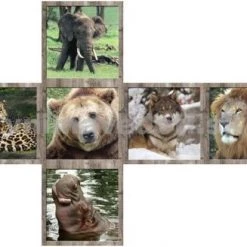 V-cube Breinbreker 3 Wild Animals 5 Cm -Bolseeplgoed Verkoopwinkel 550x414 10