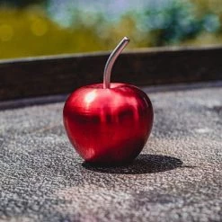 Wil Strijbos Alu Appel -Bolseeplgoed Verkoopwinkel 550x578 257