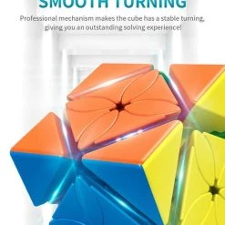 Moyu Meilong Maple Leaf Skewb -Bolseeplgoed Verkoopwinkel 550x691 3