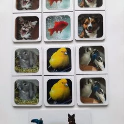 Nevospel Denkspel Voor Mensen Met Dementie FotoDomino Huisdieren -Bolseeplgoed Verkoopwinkel 550x733 24