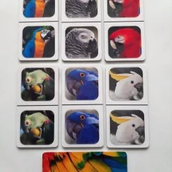 Nevospel Denkspel Voor Mensen Met Dementie FotoDomino Papagaaien 5 Nevospel Denkspel Voor Mensen Met Dementie FotoDomino Papagaaien -Bolseeplgoed Verkoopwinkel 550x733 31