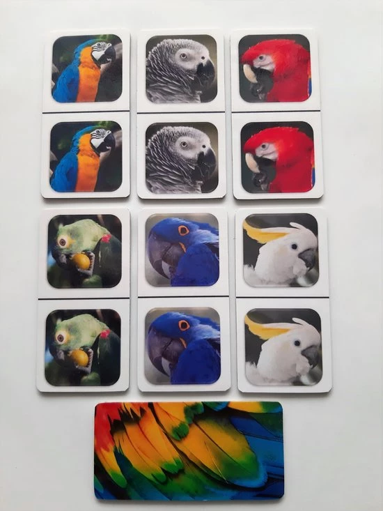 Nevospel Denkspel Voor Mensen Met Dementie FotoDomino Papagaaien 4 Nevospel Denkspel Voor Mensen Met Dementie FotoDomino Papagaaien - Afbeelding 2