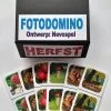Nevospel Denkspel Voor Mensen Met Dementie FotoDomino Herfst -Bolseeplgoed Verkoopwinkel 550x733 48