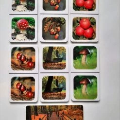 Nevospel Denkspel Voor Mensen Met Dementie FotoDomino Herfst -Bolseeplgoed Verkoopwinkel 550x733 49