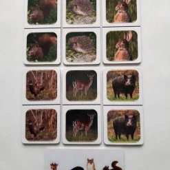 Nevospel Denkspel Voor Mensen Met Dementie FotoDomino Bosdieren -Bolseeplgoed Verkoopwinkel 550x733 61