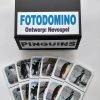 Nevospel Denkspel Voor Mensen Met Dementie FotoDomino Pinguins -Bolseeplgoed Verkoopwinkel 550x733 63