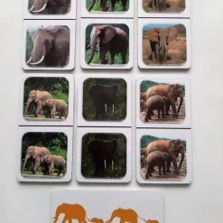 Nevospel Denkspel Voor Mensen Met Dementie FotoDomino Olifanten -Bolseeplgoed Verkoopwinkel 550x733 78