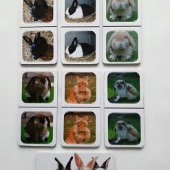 Nevospel Denkspel Voor Mensen Met Dementie FotoDomino Konijnen -Bolseeplgoed Verkoopwinkel 550x733 81